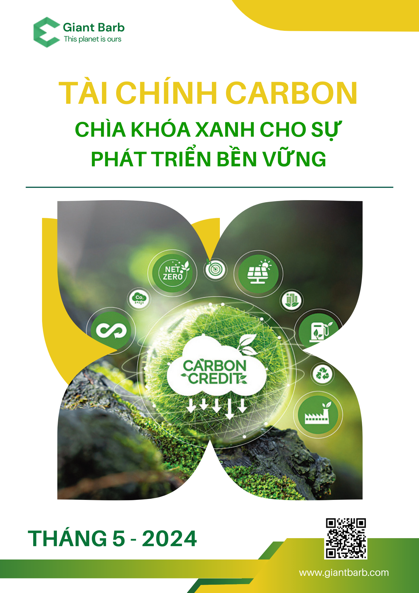 Tài Chính Carbon - Chìa Khóa Xanh Cho Sự Phát Triển Bền Vững